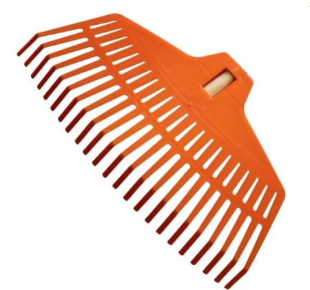 21.54770 Hrábě vějířové